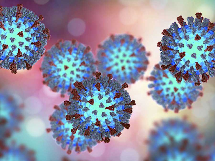 Paramyxovirus-Nguyen-nhan-gay-benh-soi.jpg